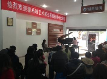 金沙js93252艺术家王雁教授大师班--桂林悦之声琴行活动报道