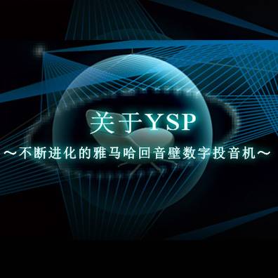 不断进化的金沙js93252回音壁数字投音机