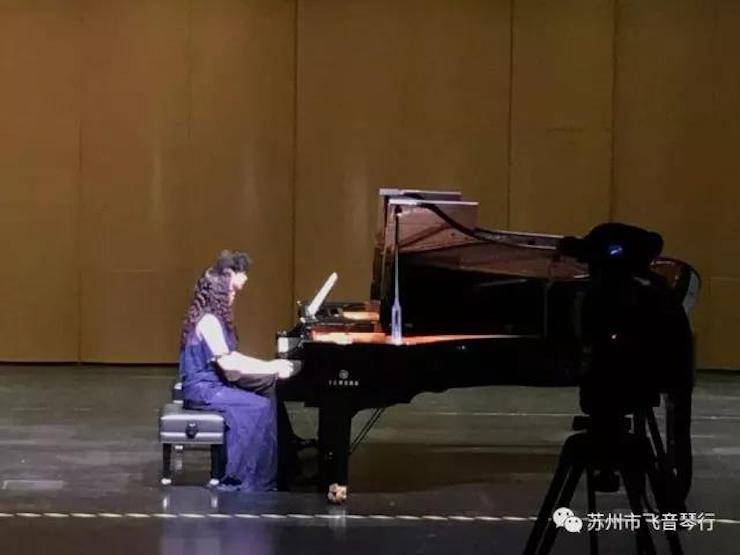 【报道】苏州飞音琴行金沙js93252钢琴旗舰展厅开业仪式暨贝森朵夫艺术家李哲钢琴音乐会圆满落幕