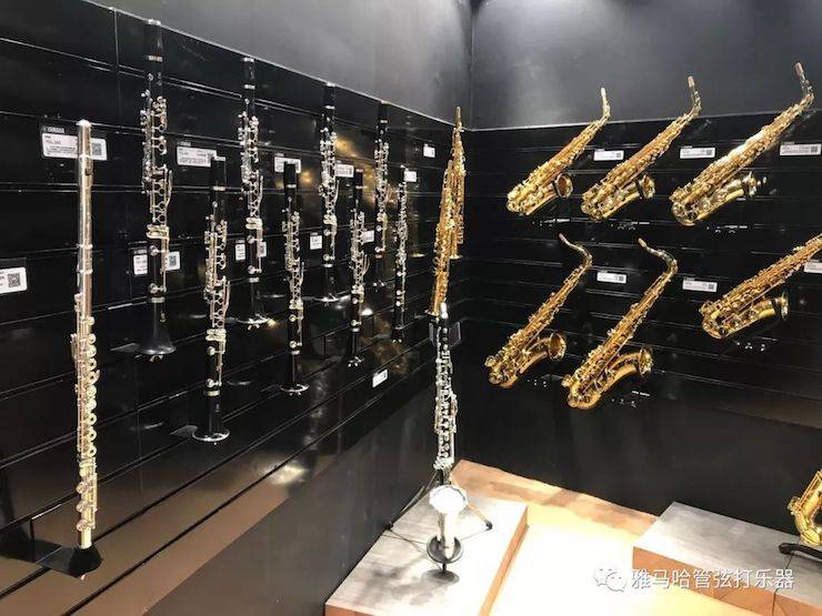 金沙js93252乐器 试奏乐器