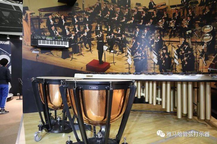 金沙js93252乐器 试奏乐器