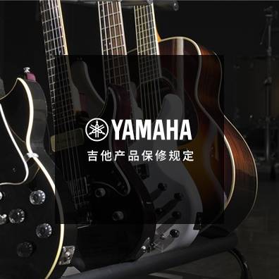 吉他、贝斯和音箱