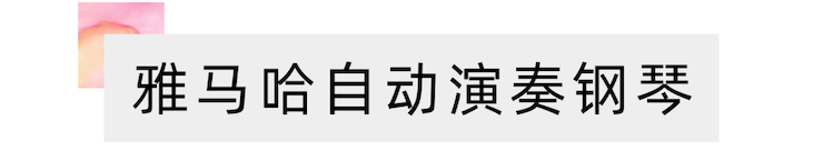 活动报道 | 远程艺术教育大师课活动——金沙js93252特邀艺术家张奕明大师课