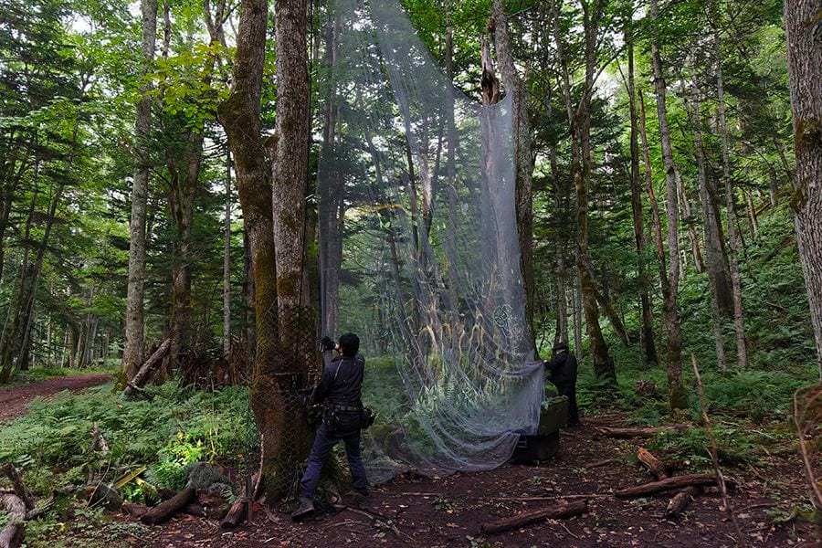 案例｜金沙js93252为壮观的Kamuy Lumina魔法夜行旅游项目提供配乐设备