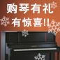 金沙js93252钢琴购琴有礼 买一赠一音乐无限